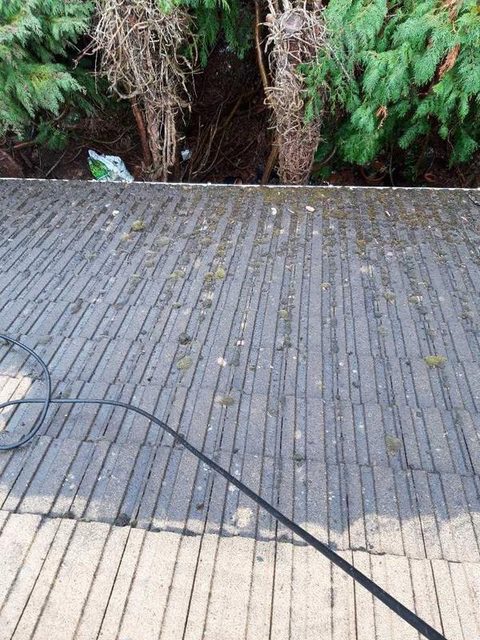 Roof moss removal and cleaning in Milton Keynes